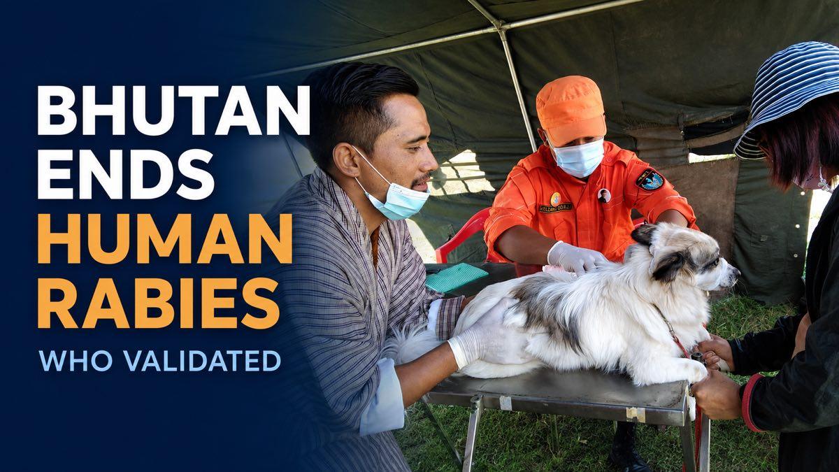 A Bhutanese health volunteer vaccinating a dog against rabies